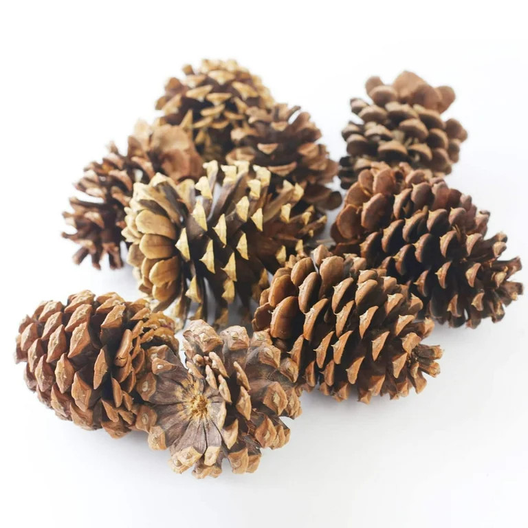 Cinnamon Scented Pinecones by Ashland®-Christmas Decorations | Walmart (US)