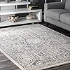 nuLOOM Minta Vintage Area Rug, 8' 10" x 12', Grey | Amazon (US)