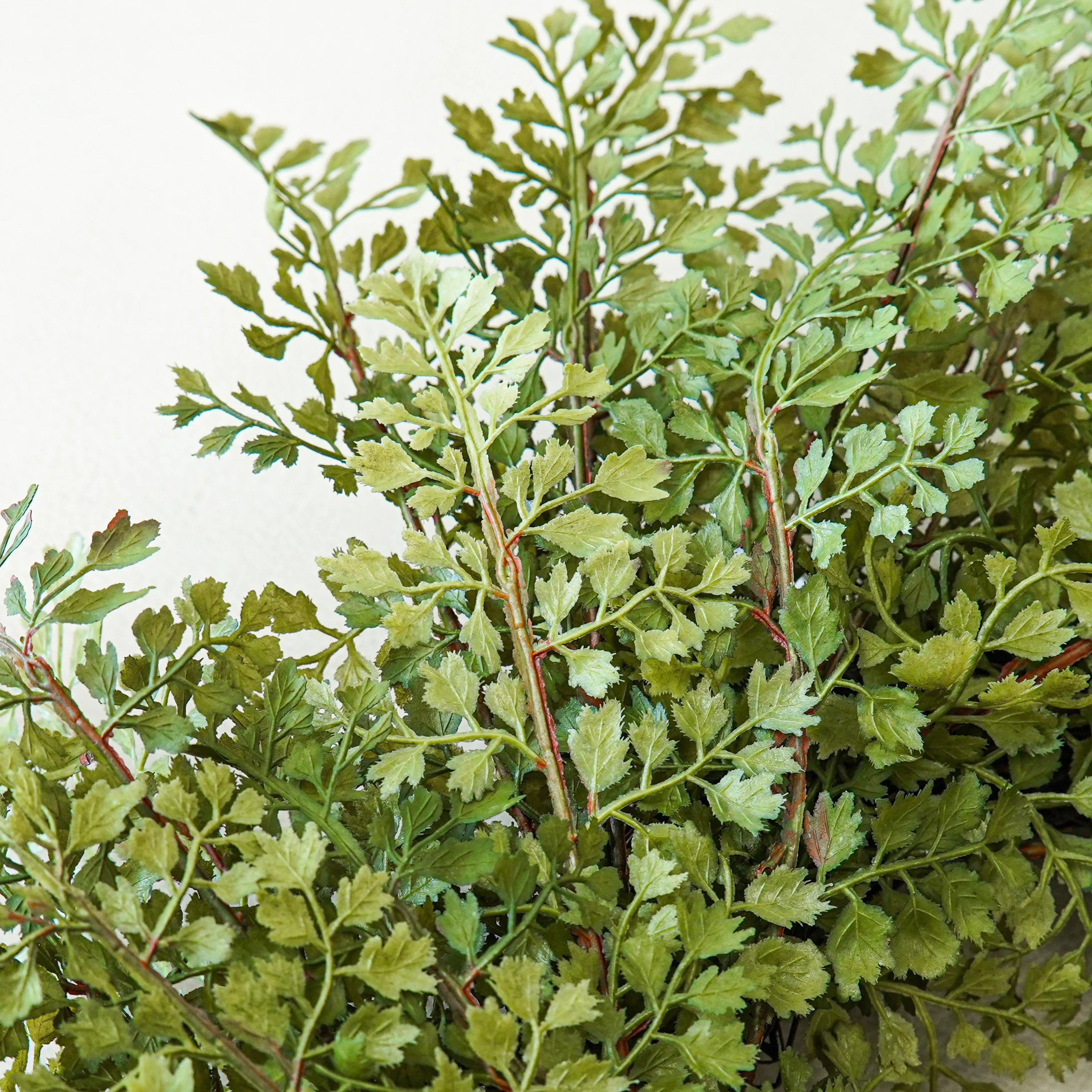 Amara Fern Candle Ring | 13" | MJHome