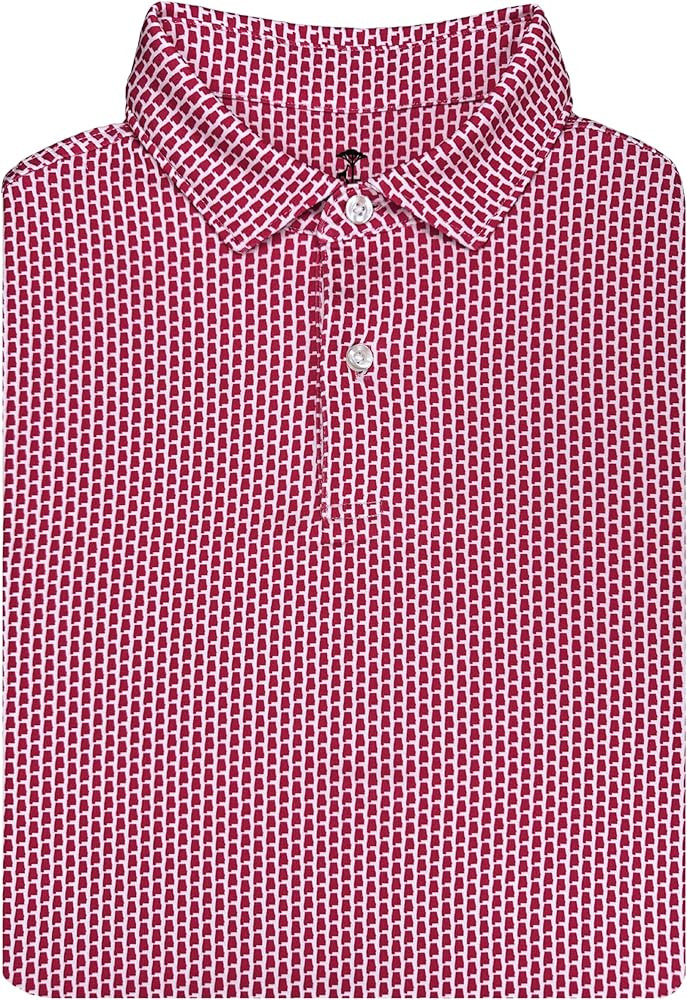 State Print Golf Shirt for Men – Men’s University Polo Moisture Wicking Dry Fit Performance S... | Amazon (US)