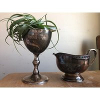 Vintage Silver Plate Trophy/Award Or Loving Cups. Airplant Display/Plant Pot. Two Available | Etsy (US)
