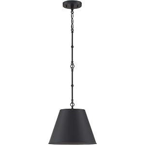 Savoy House 7-131-1-89 Alden 1-Light Black Pendant (19" W x 13"H) | Amazon (US)
