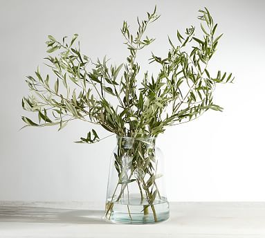 Live Olive Leaves Bunches | Pottery Barn (US)