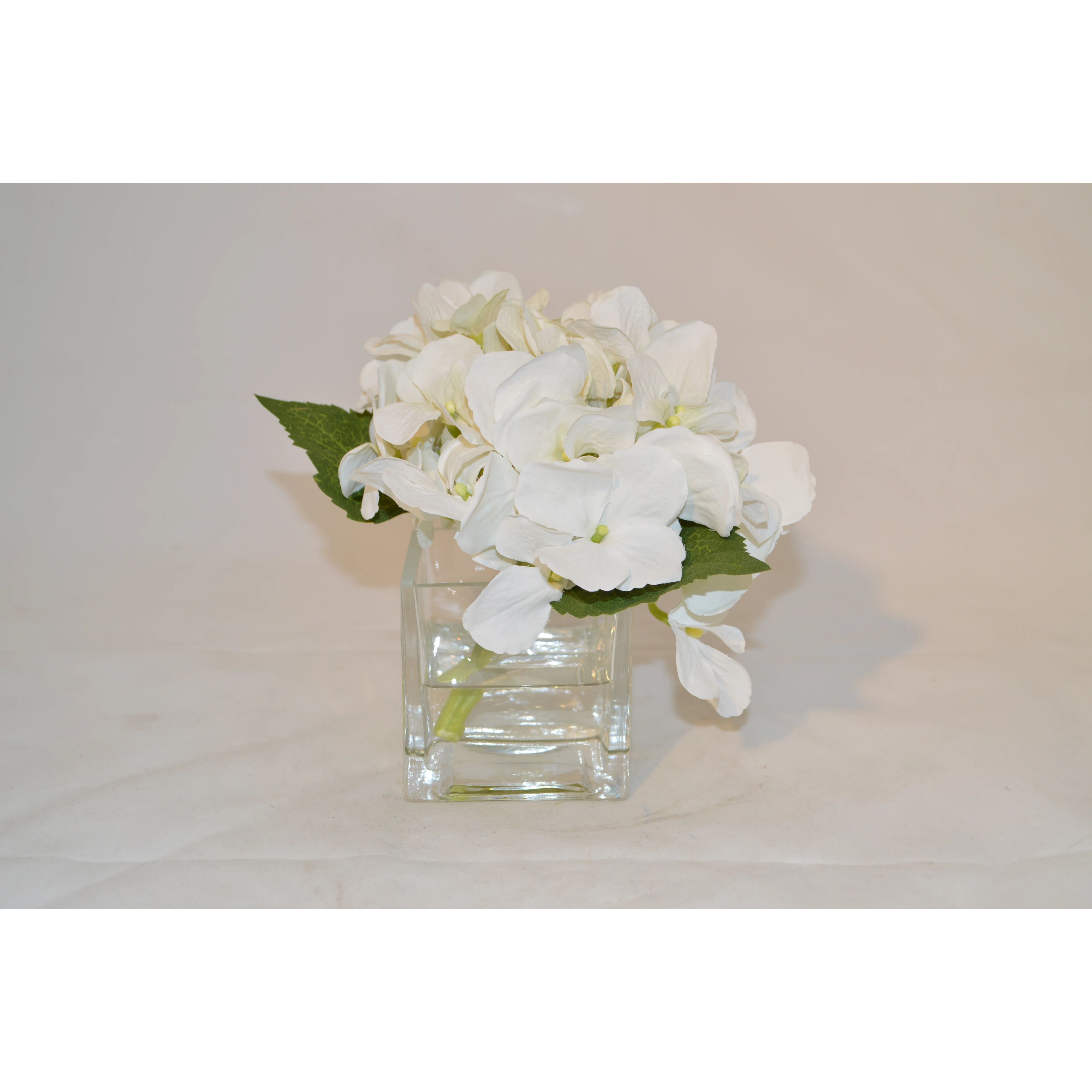 The French Bee Hydrangea in Cube | Wayfair North America