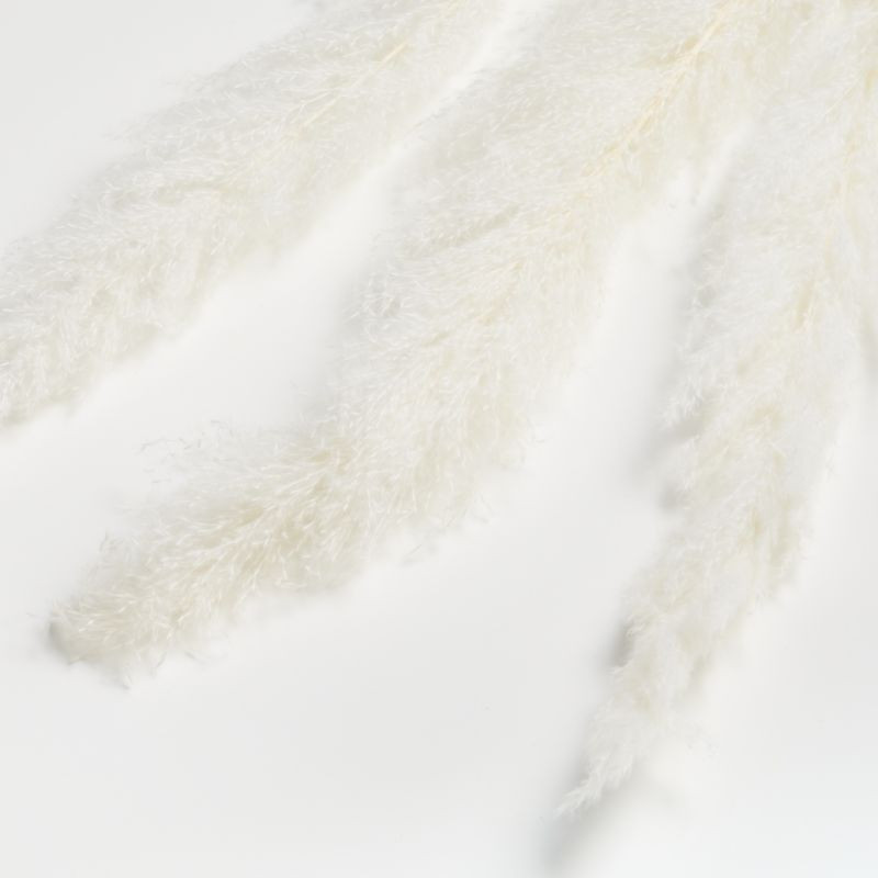 Bleached Grass Plume Dried Botanicals + Reviews | Crate and Barrel | Crate & Barrel