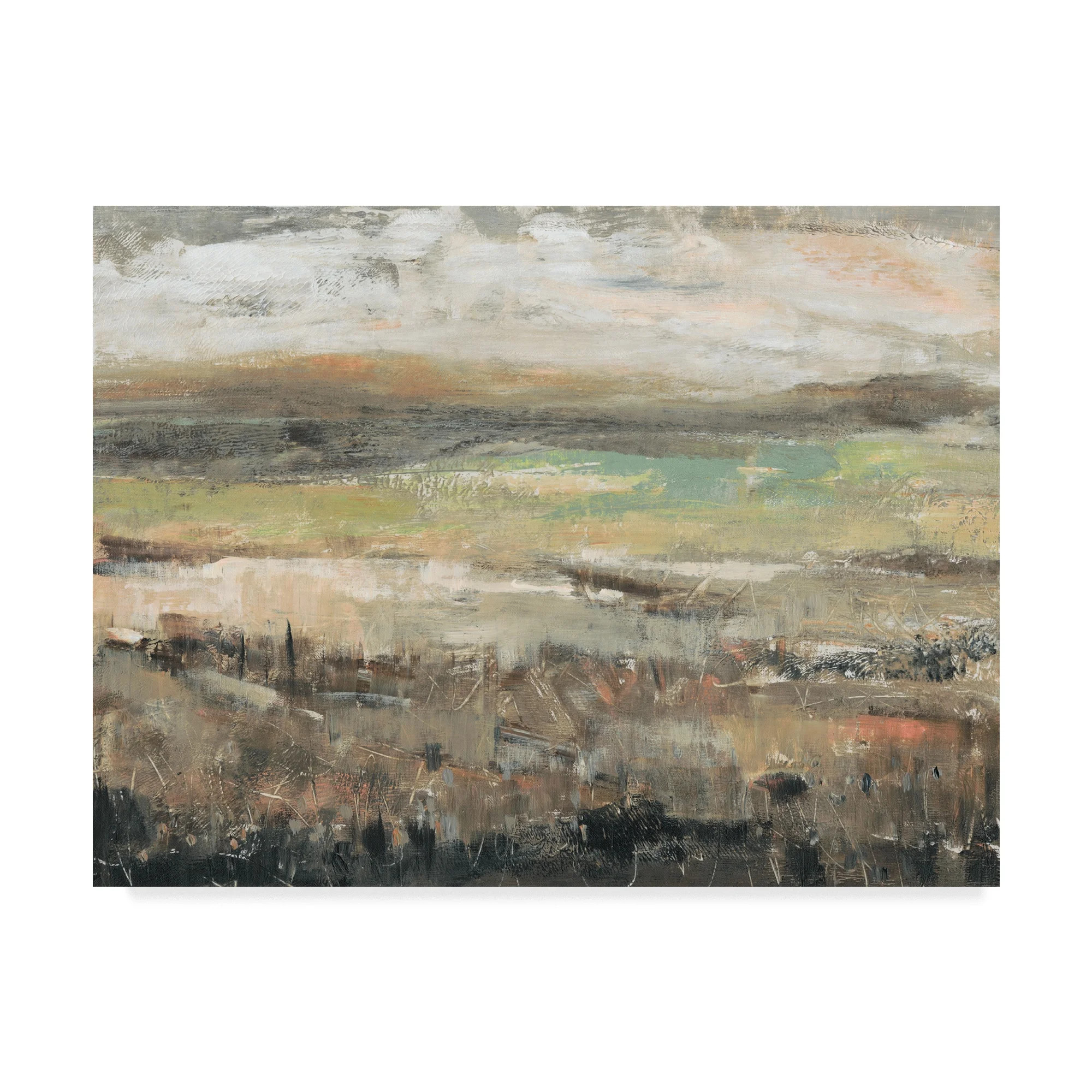 Trademark Fine Art 'Grassland Showers I' Canvas Art by Tim OToole - Walmart.com | Walmart (US)