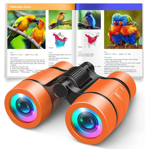 3-8 Year Old Boy Girl Toys: LET'S GO! Shockproof Binoculars for Kids Bird Watching 3 4 5 6 7 Year Old Boys Girls Outdoor Travel Toy for Kid Ages 4-7 Toddler Toy Binoculars Christmas Stocking Stuffers | Amazon (US)