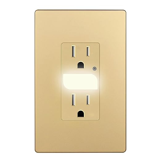 LIDER LED Guide Light Receptacle with Automatic Daylight Sensor and Wall Plate, Night Light Decor... | Amazon (US)