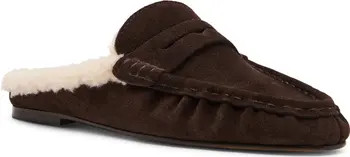 Steve Madden Rafe Faux Shearling Lined Mule (Women) | Nordstrom | Nordstrom
