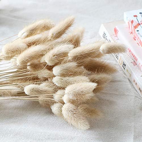 Beau Jour Natural Dried Lagurus ovatus 100 Pcs, Dried Bunny Tails Pampas for Flower Arrangements ... | Amazon (US)