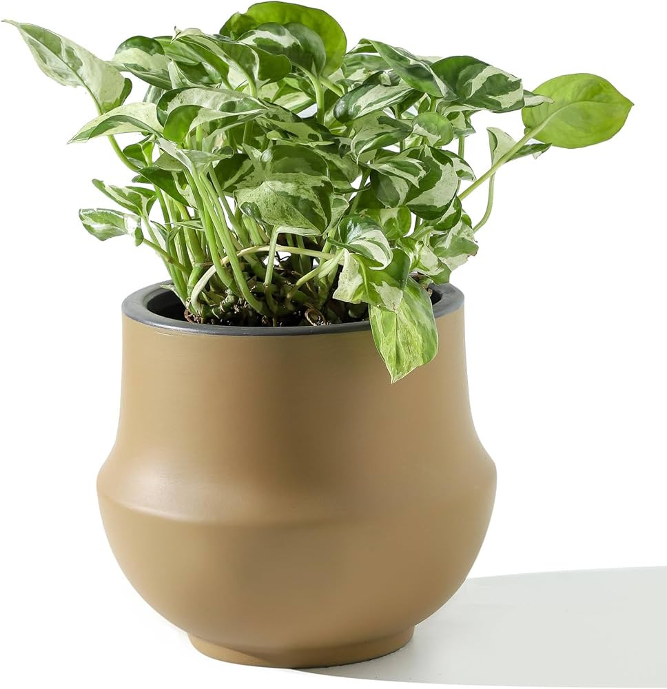 Geometric Ceramic Plant Pot, 6 Inch Planter with Drainage Hole and Removable Rubber Plug, Indoor ... | Amazon (US)