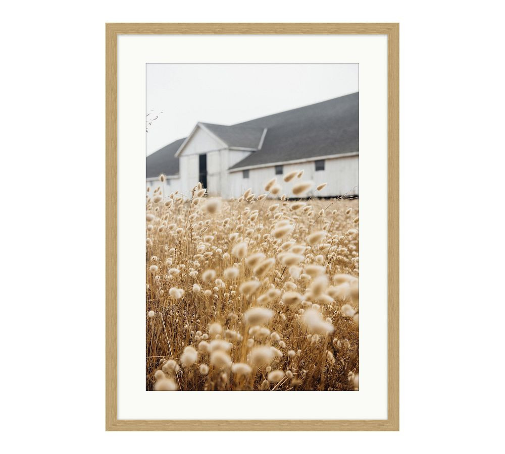The Milk Barn 26x36 by Meg Haywood Sullivan | Pottery Barn (US)