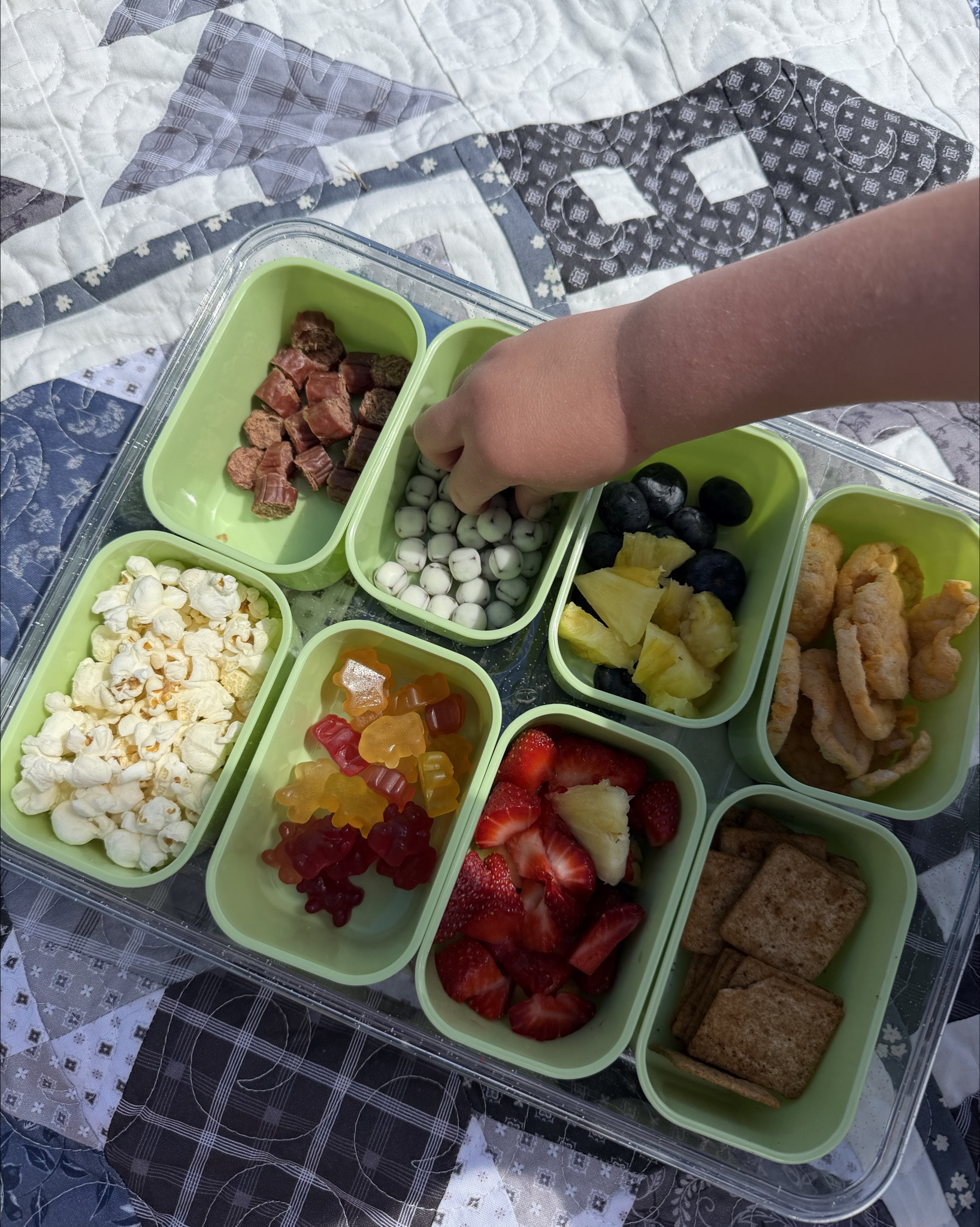 The perfect snack container for your park days with the kiddos 