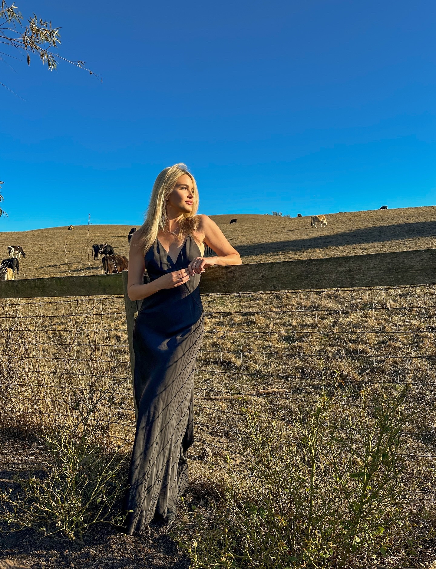 ✨ A night I’ll never forget ✨
My cousin married the love of her life last night in the most beautiful setting — the kind of place that literally looks like a movie (and was actually featured in Vogue! 😍). From golden Sonoma views to glasses of wine and nonstop dancing, it was pure magic from start to finish.

I’m just so happy for them — being surrounded by that much love and joy reminded me how special family truly is. 💕 (And yes… somehow I ended up in the DJ booth by the end of the night 😂🎧 #DJKenny 🤪)