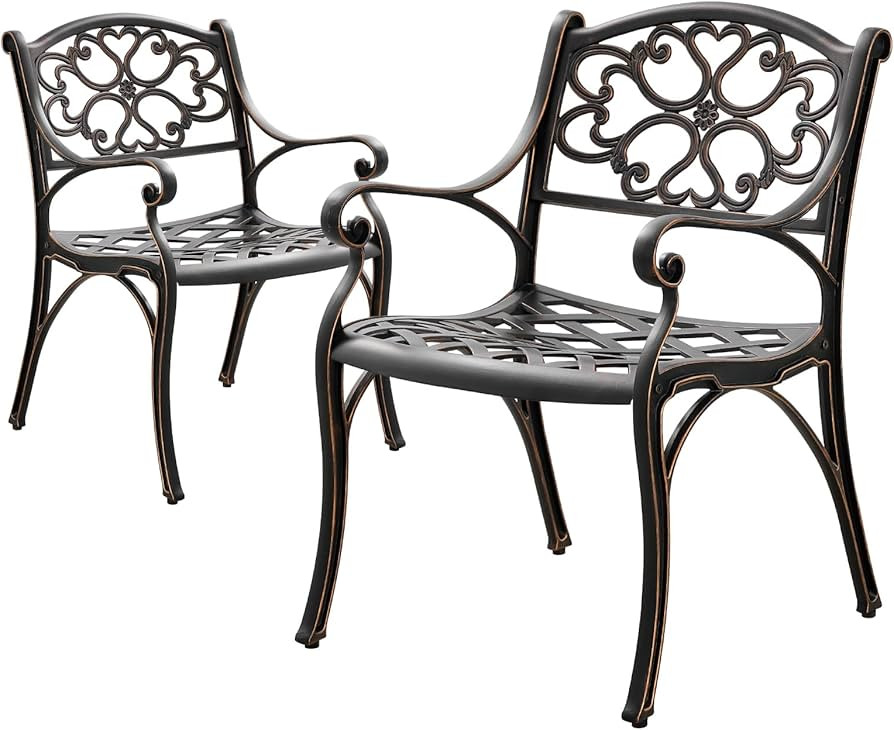 Patio Chairs Set of 2 Cast Aluminum Bistro Dining Chair Outdoor Patio Bistro Chairs with Adjustab... | Amazon (US)