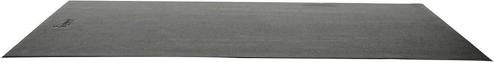 Sunny Health & Fitness Home Gym Foam Floor Protector Mat for Fitness & Exercise Equipment - Avail... | Amazon (US)