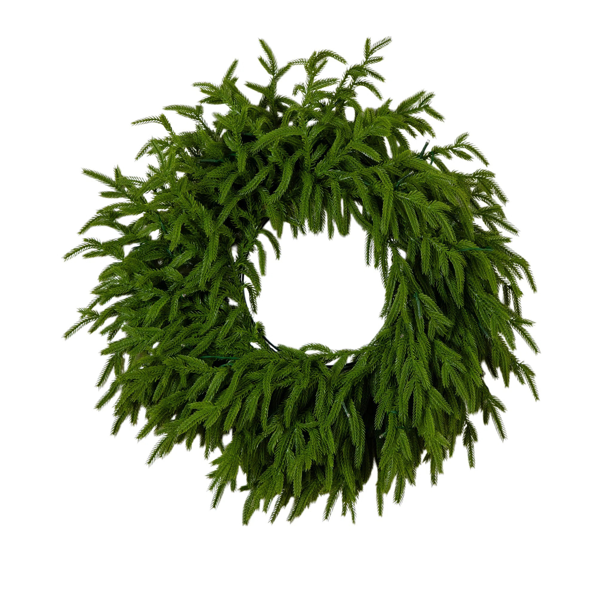 20In. Pre-Lit Artificial Real Touch Norfolk Island Pine Wreath With 35 Warm White LED Lights And ... | Joss & Main
