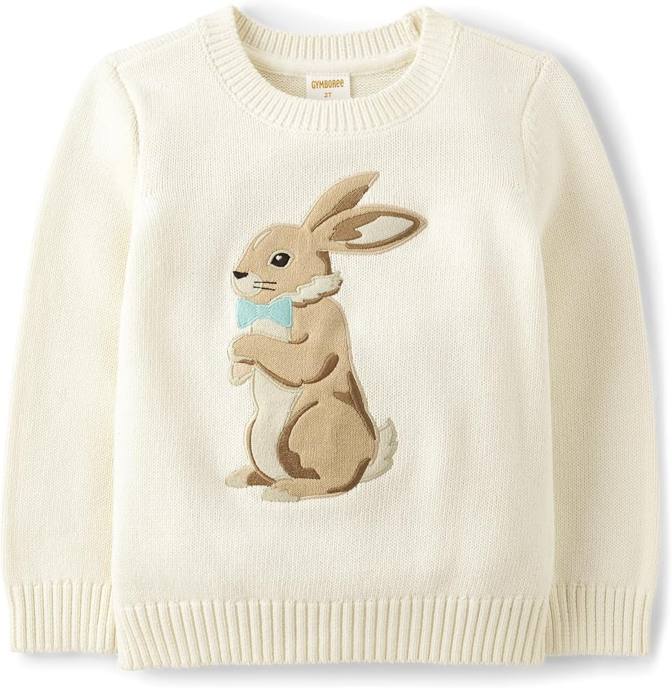Gymboree Girls' and Toddler Long Sleeve Pull Over Sweater | Amazon (US)