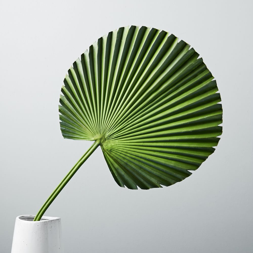 Faux Fan Palm Plant Leaf | West Elm (US)