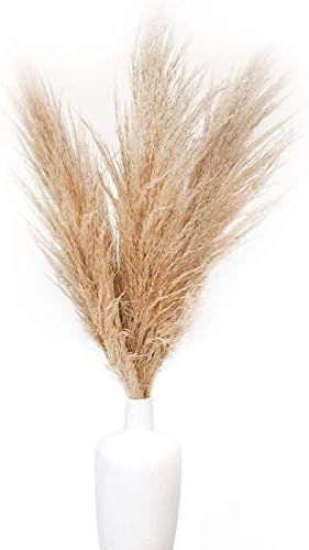 Boho City Blooms Pampas Grass - | 5 Stems - 40-48'in | Premium Natural Dried Pampas Grass Decor |... | Amazon (US)