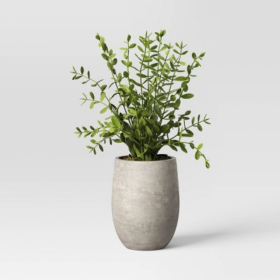 14" Privet Artificial Plant - Threshold™ designed with Studio McGee: Cement Pot, Indoor/Outdoor, Tabletop Decor | Target