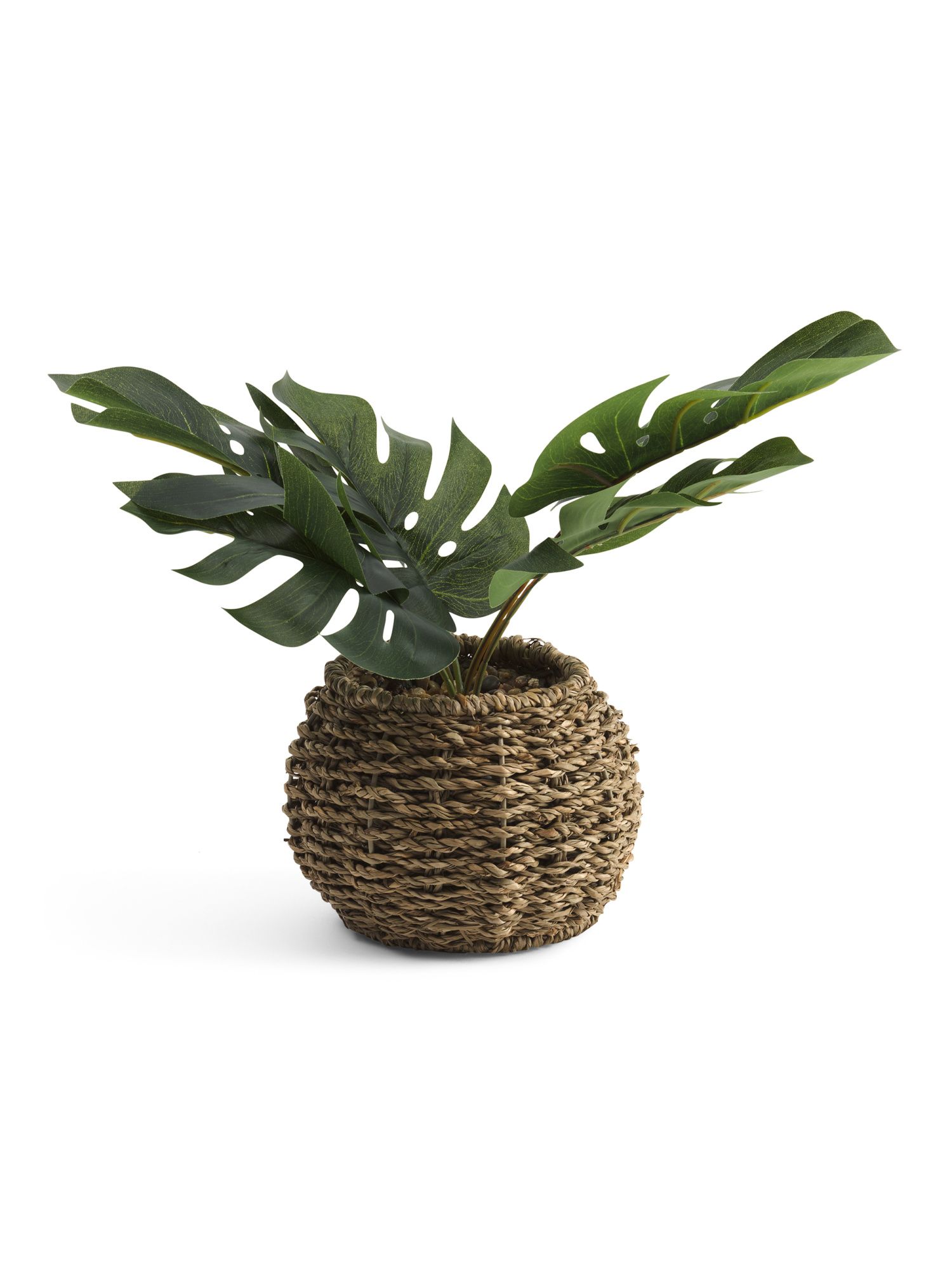 Split Leaf In Woven Basket | TJ Maxx