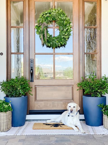 Spring/summer front porch look!

My wreath is the XL size, my door is 42” x 8’ for reference.  Save an additional 15% off with my code: MURPHY15

Layering rug is 3x5.  Basket planters seen here are not available, but I linked a few other options you could use.  

#LTKsalealert #LTKhome 

#LTKFindsUnder100