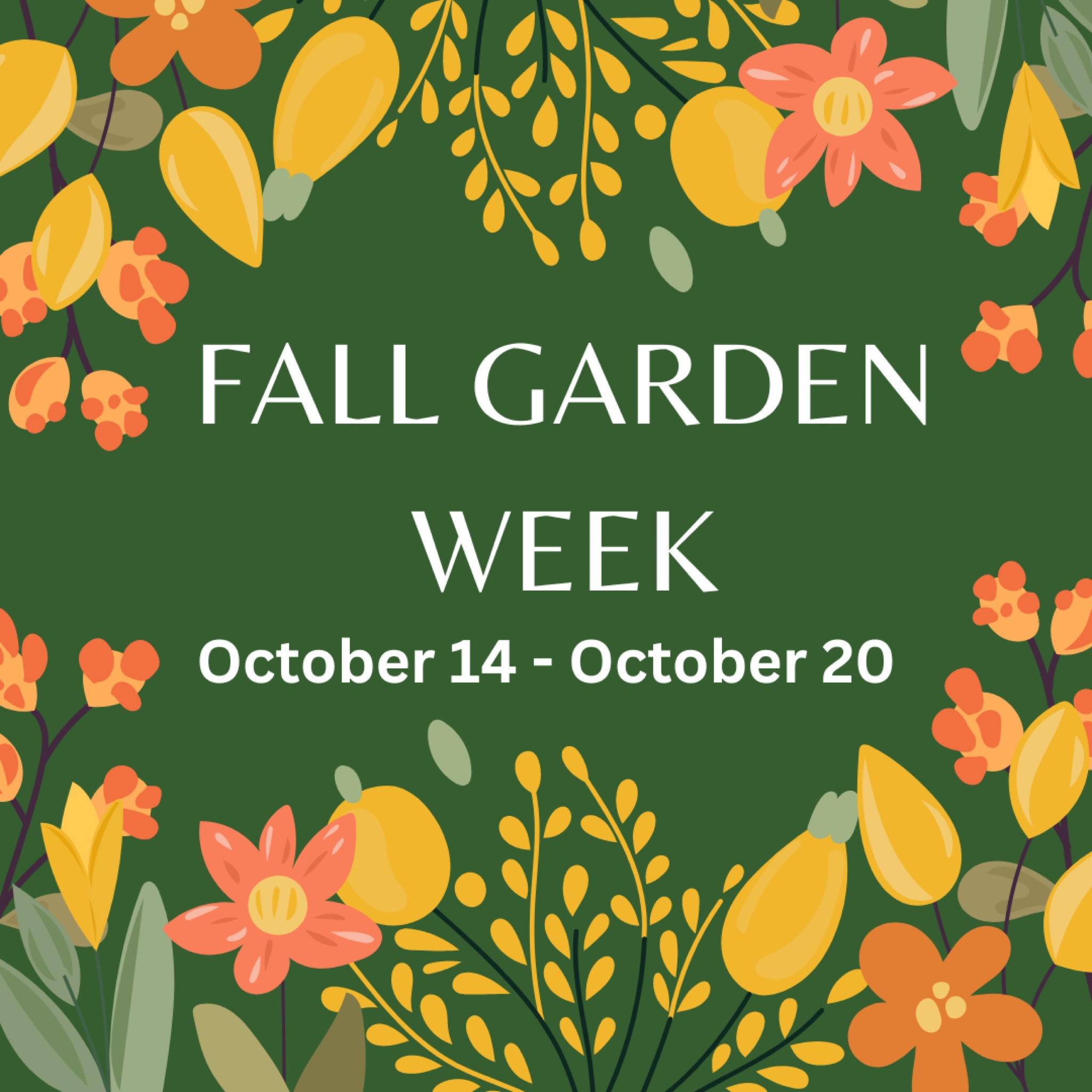 It’s Fall Garden Week and we have all the things you need here to follow along with us this week! ✨🍂

#LTKKids #LTKSeasonal #LTKHome
