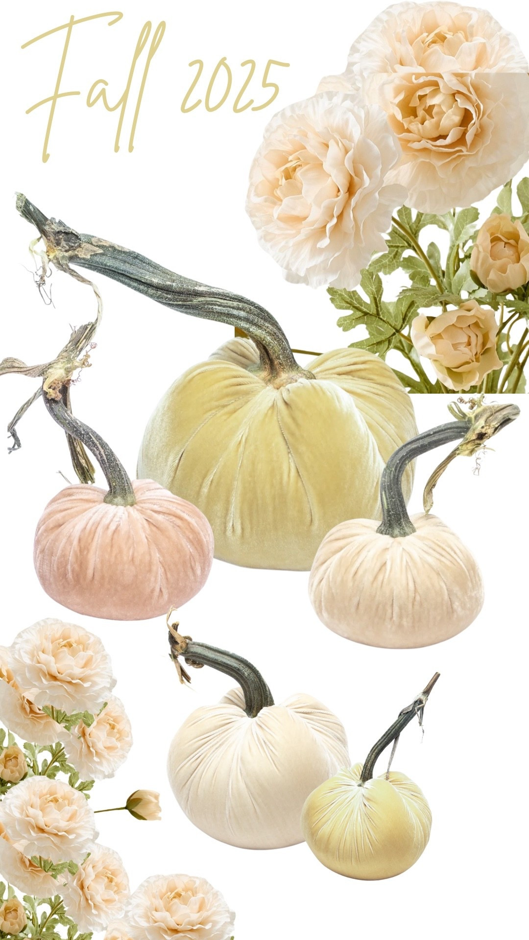 Fall home decor 
Velvet pumpkins 
Fall florals 

#LTKHome