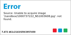 5ft Ficus In Matte Pot | TJ Maxx