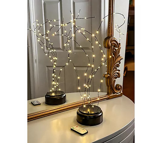 Simply Stunning Oversized Drop-In Fairy Lights by Janine Graff | QVC