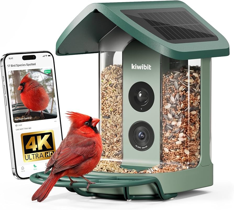 Solar Smart Bird Feeder with Camera, AI Bird Species Identification, 8MP Photos, 4K UHD Video Liv... | Amazon (US)