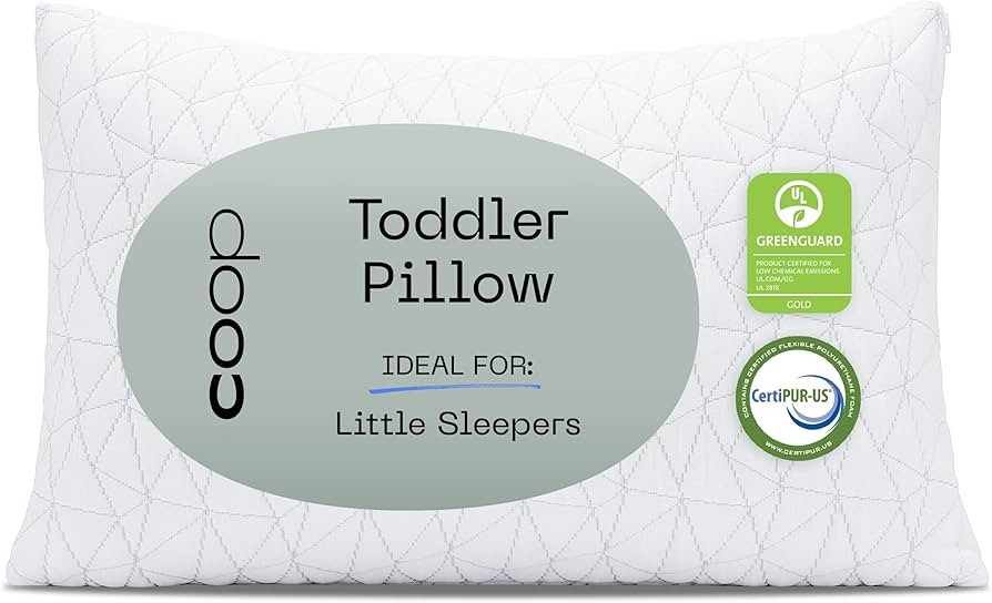Coop Home Goods - Toddler Pillow (14x19) - Premium Cross-Cut Memory Foam - Soft Touch Lulltra Was... | Amazon (US)