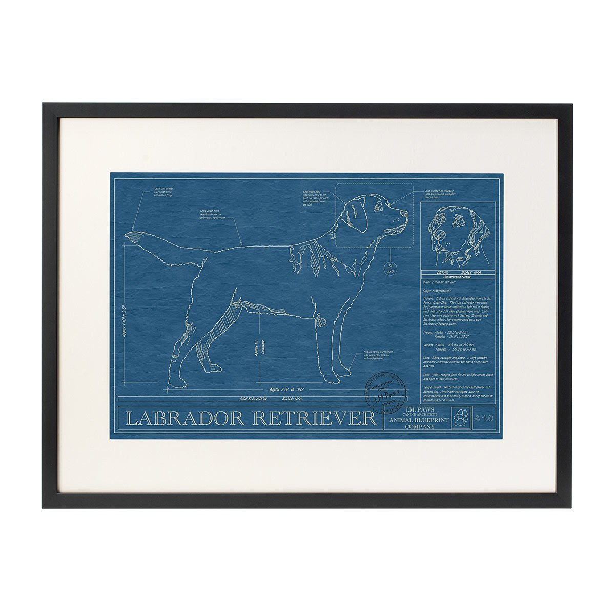 Dog Blueprints | UncommonGoods