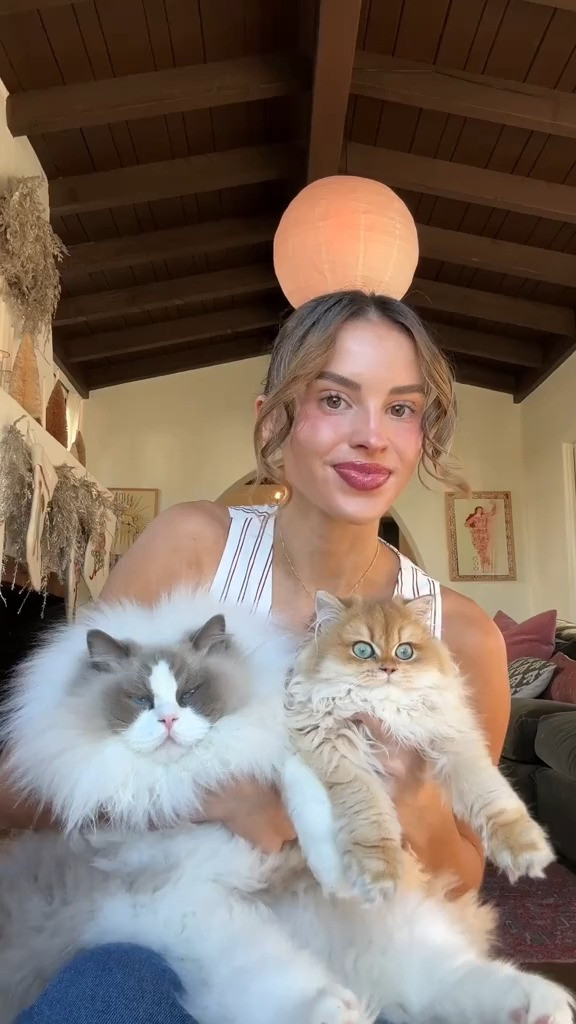    

 #LTKWatchNow #LTKHome #LTKBeauty