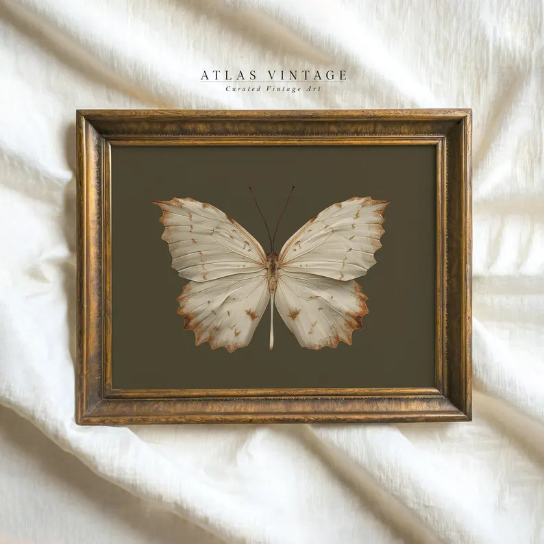Vintage White Butterfly Print, Dark Moody Insect Printable Wall Art, Cottagecore Sage Green Fall ... | Etsy (US)