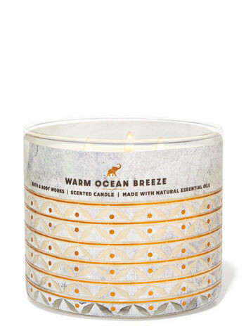 Warm Ocean Breeze


3-Wick Candle | Bath & Body Works
