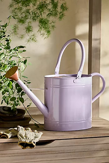 Enameled Iron 2 Liter Watering Can | Anthropologie (US)
