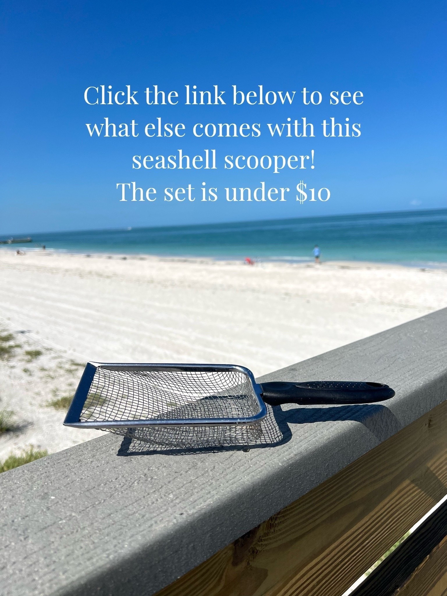Click the link below to see what else comes with this seashell scooper! The set is less than $10! Let your next beach adventure be the one where you find plenty of seashells!

#LTKTravel #LTKSwim #LTKSeasonal