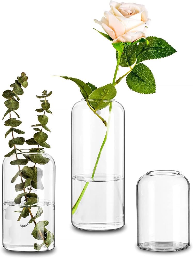 Clear Bud Vase Glass Cylinder, Set of 3 Glasseam Modern Small Flower Vases Decor Handmade Craft A... | Amazon (US)