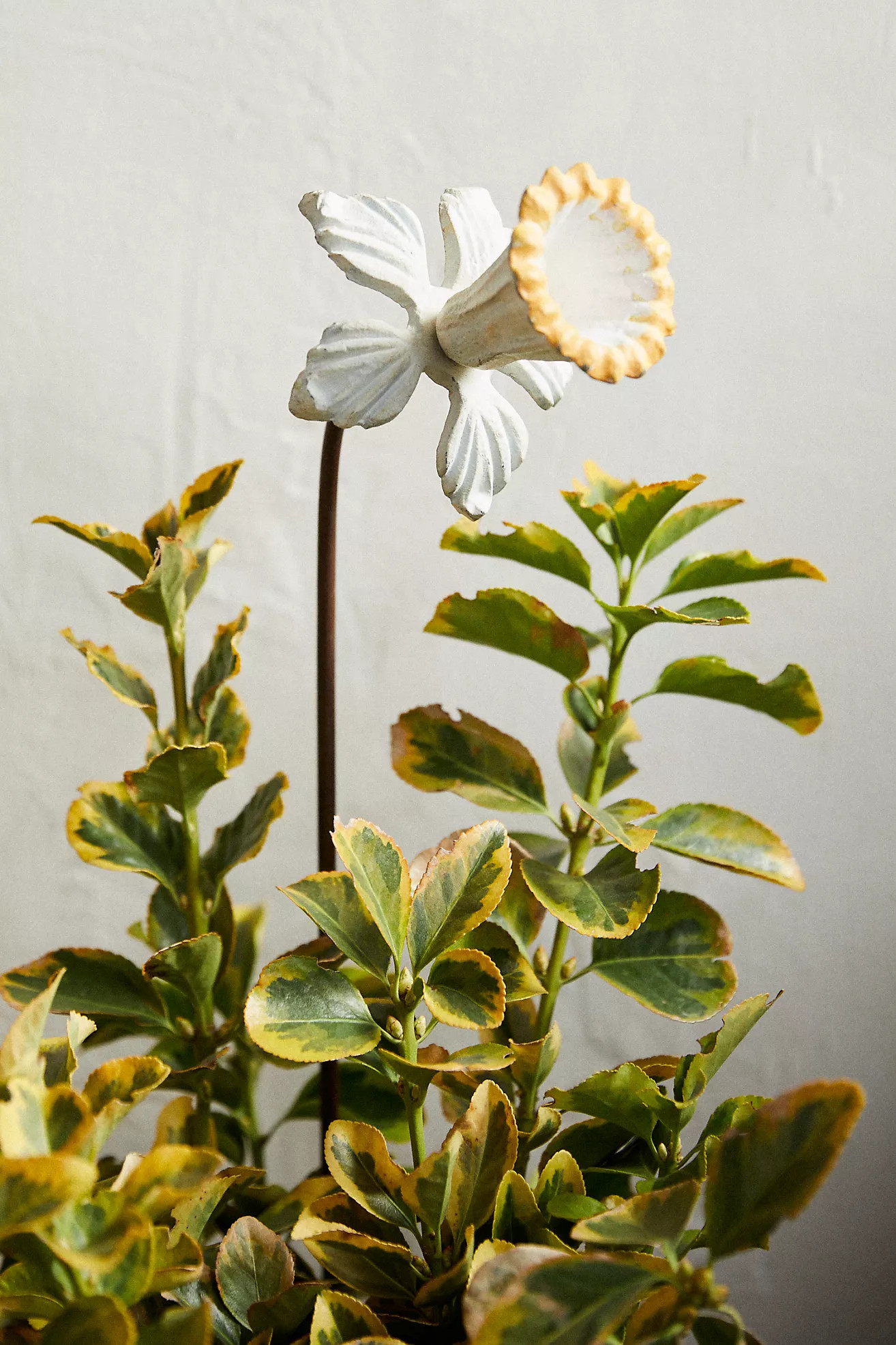 Daffodil Iron Stake | Anthropologie (US)