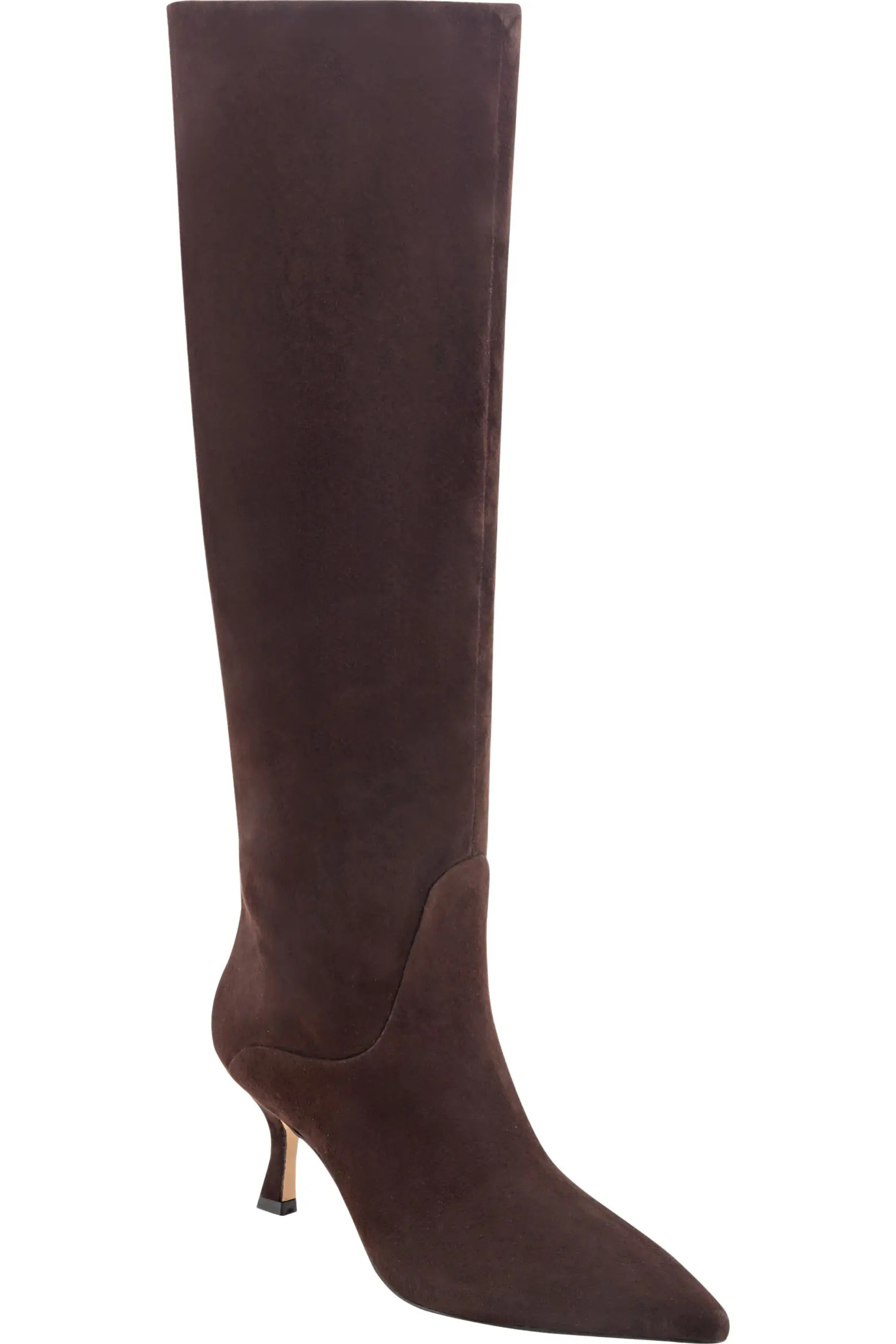 Visola Pointed Toe Knee High Boot (Women) | Nordstrom | Nordstrom