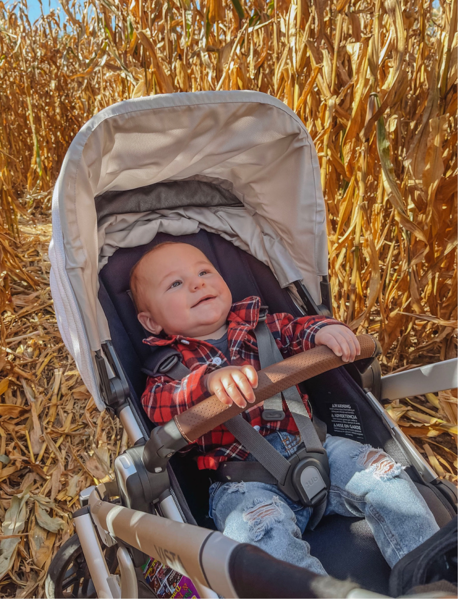 Infant travel 🎃💐🍁 Best stroller 🫶🏻

baby infant outfit ideas stroller fall winter summer seasonal flannel 

#LTKstyletip #LTKtravel #LTKbaby