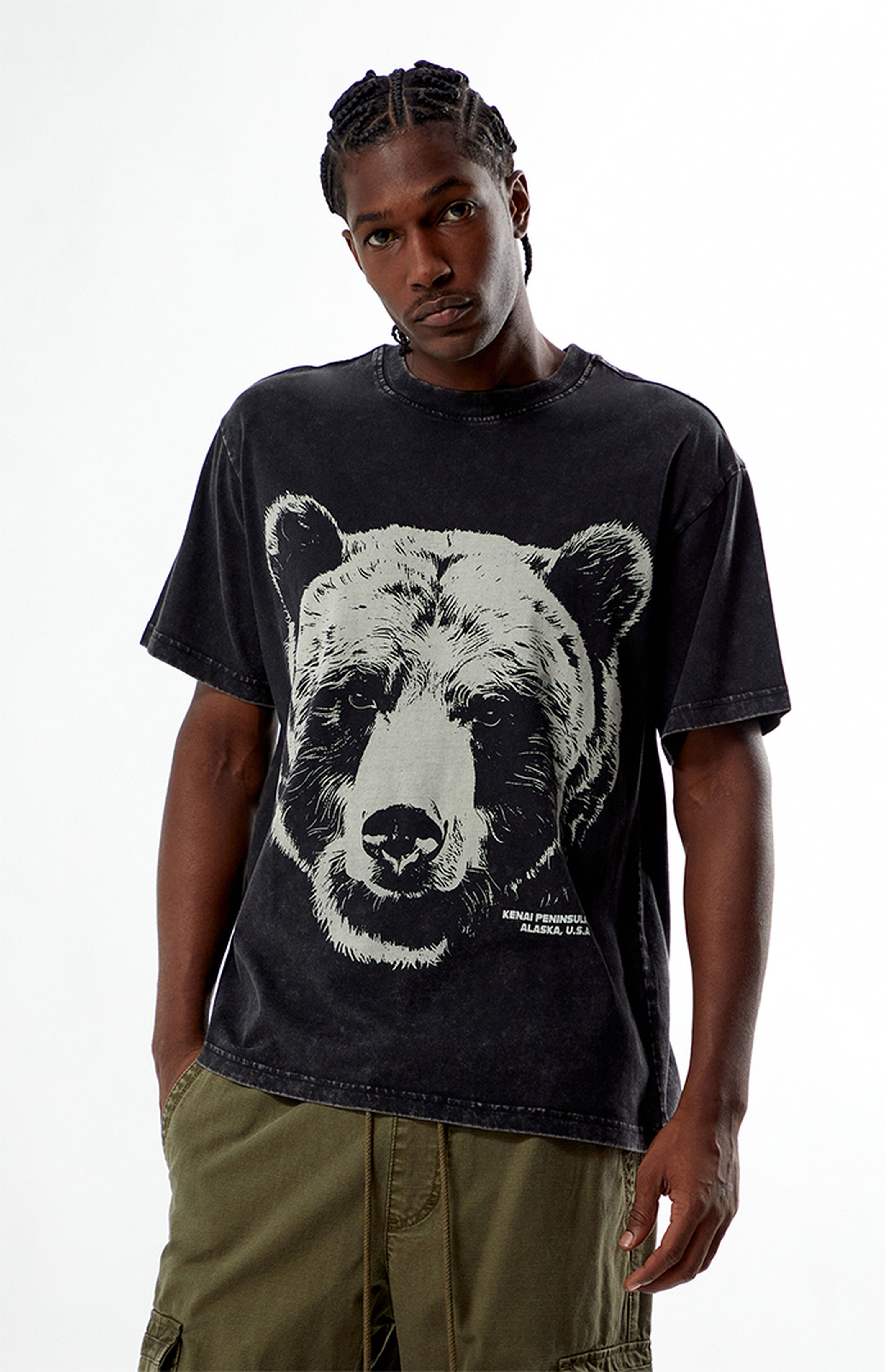 PacSun Grizzly T-Shirt | PacSun