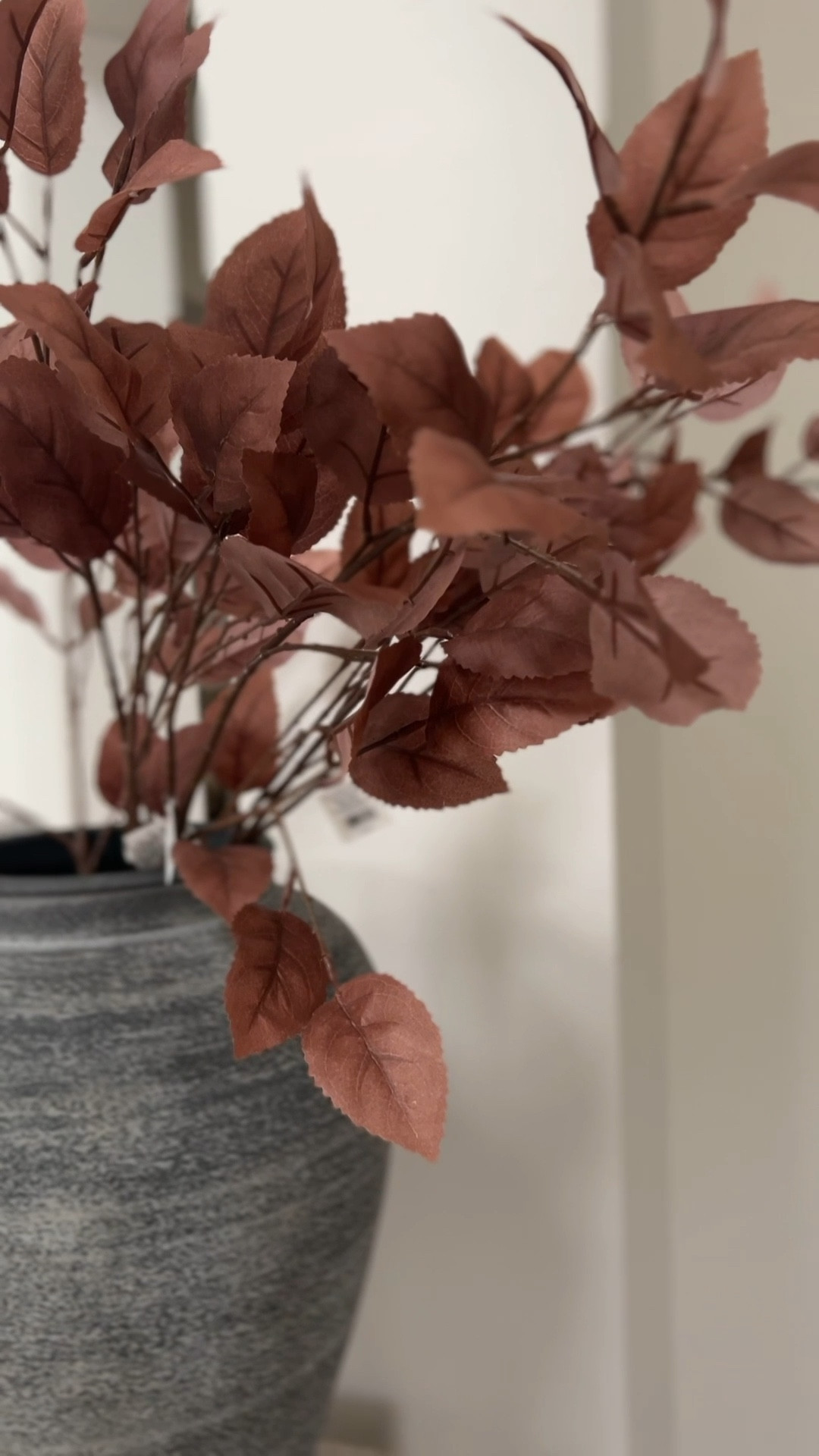 Fall, fall stems, fall decor, stems, candle, vase, crate and barrel, amazon, Target, fluted vase, home decor

#LTKstyletip #LTKSeasonal #LTKhome