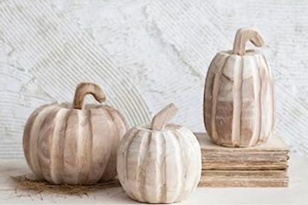 Wood Pumpkins

#pumpkins
#neutraldecor
#neutralfall
#falldecor
#halloweendecor
#creativecoop

#LTKSeasonal #LTKhome #LTKFind
