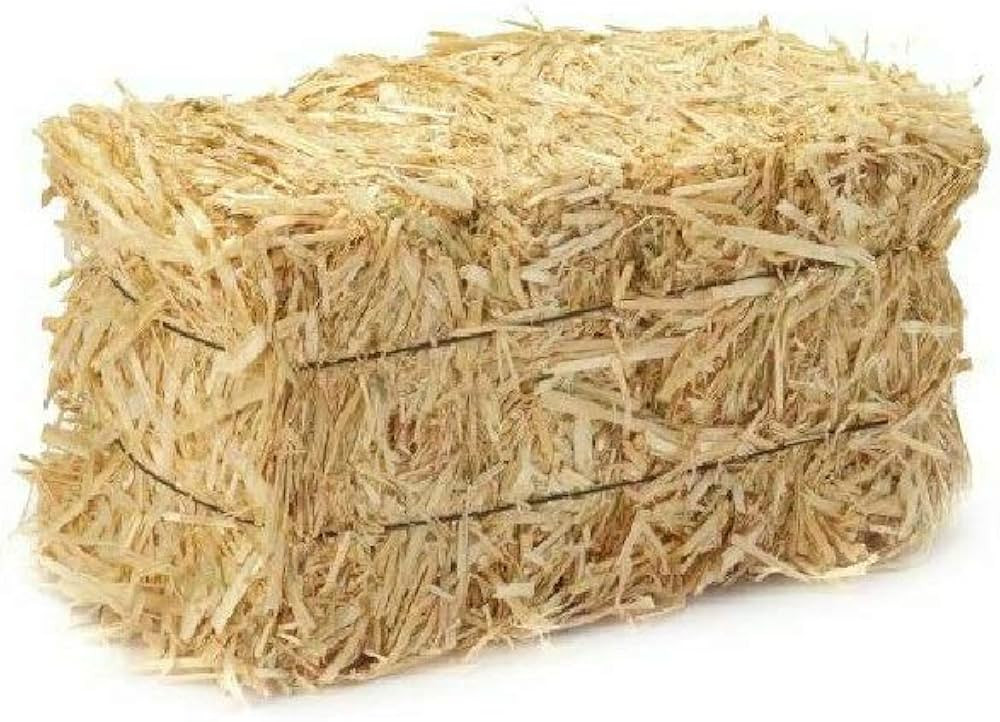 FloraCraft Straw Bales, 5-Inch-by-6-Inch-13- Inch Bale | Amazon (US)
