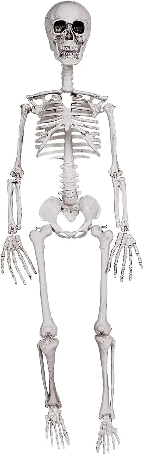 Amazon.com: DECORLIFE 36" Skeleton Halloween Decorations, 3FT Posable Halloween Skeleton Decor fo... | Amazon (US)