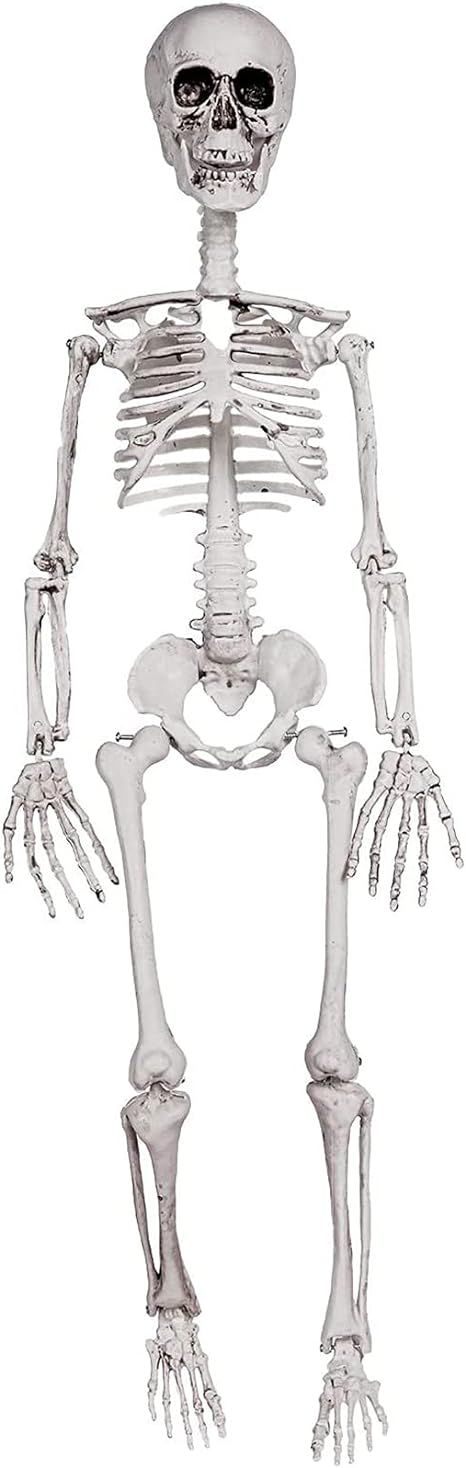DECORLIFE 36" Skeleton Halloween Decorations, 3FT Posable Halloween Skeleton Decor for Front Lawn... | Amazon (US)