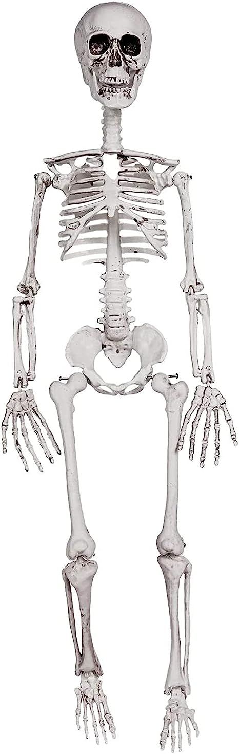 Amazon.com: DECORLIFE 36" Skeleton Halloween Decorations, 3FT Posable Halloween Skeleton Decor fo... | Amazon (US)